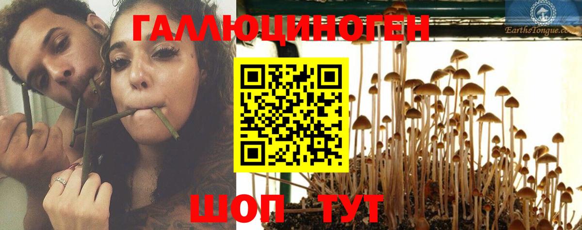 Галлюциногенные грибы Cubensis Моздок