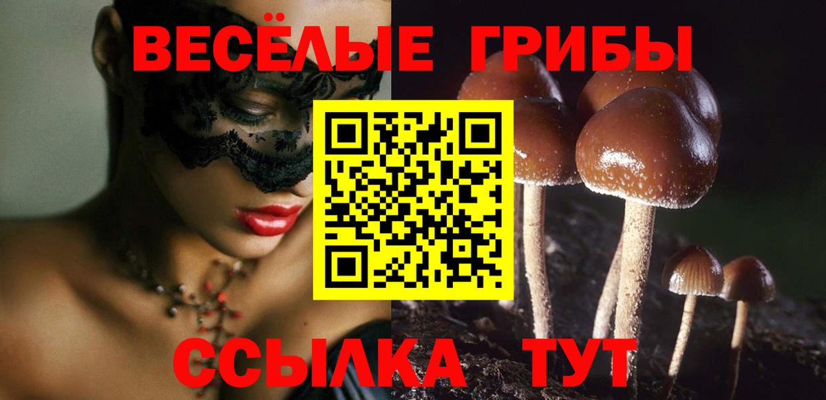 как найти   Псилоцибиновые грибы мицелий  Вход с VPN  Моздок 